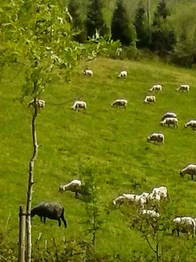 Eguzkitze Alojamiento Rural Lss00085 Abaltzisketa 外观 照片